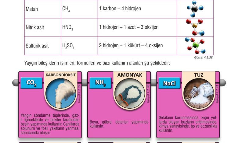 7. Sınıf Meb Yayınları Fen Bilimleri Ders Kitabı Sayfa 115 Cevapları