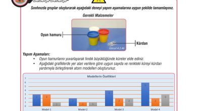 7. Sınıf Meb Yayınları Fen Bilimleri Ders Kitabı Sayfa 116 Cevapları