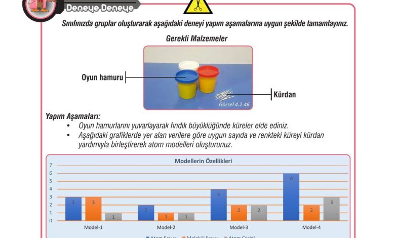 7. Sınıf Meb Yayınları Fen Bilimleri Ders Kitabı Sayfa 116 Cevapları