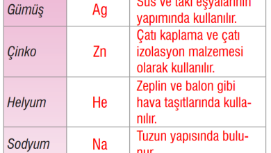 7. Sınıf Meb Yayınları Fen Bilimleri Ders Kitabı Sayfa 117 Cevapları