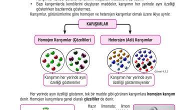 7. Sınıf Meb Yayınları Fen Bilimleri Ders Kitabı Sayfa 119 Cevapları