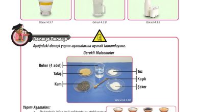 7. Sınıf Meb Yayınları Fen Bilimleri Ders Kitabı Sayfa 120 Cevapları