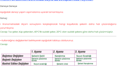 7. Sınıf Meb Yayınları Fen Bilimleri Ders Kitabı Sayfa 122 Cevapları