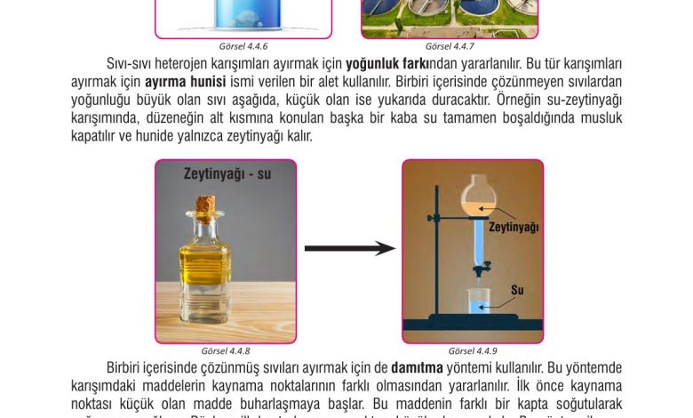 7. Sınıf Meb Yayınları Fen Bilimleri Ders Kitabı Sayfa 126 Cevapları