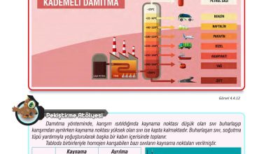 7. Sınıf Meb Yayınları Fen Bilimleri Ders Kitabı Sayfa 127 Cevapları