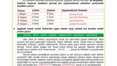 7. Sınıf Meb Yayınları Fen Bilimleri Ders Kitabı Sayfa 129 Cevapları