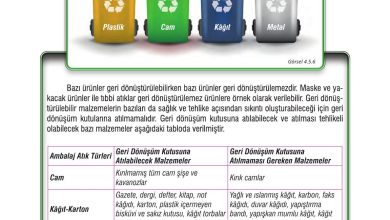 7. Sınıf Meb Yayınları Fen Bilimleri Ders Kitabı Sayfa 132 Cevapları