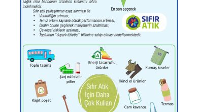 7. Sınıf Meb Yayınları Fen Bilimleri Ders Kitabı Sayfa 138 Cevapları