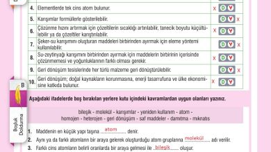 7. Sınıf Meb Yayınları Fen Bilimleri Ders Kitabı Sayfa 139 Cevapları