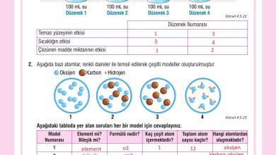 7. Sınıf Meb Yayınları Fen Bilimleri Ders Kitabı Sayfa 140 Cevapları