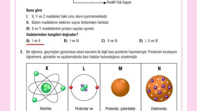 7. Sınıf Meb Yayınları Fen Bilimleri Ders Kitabı Sayfa 141 Cevapları