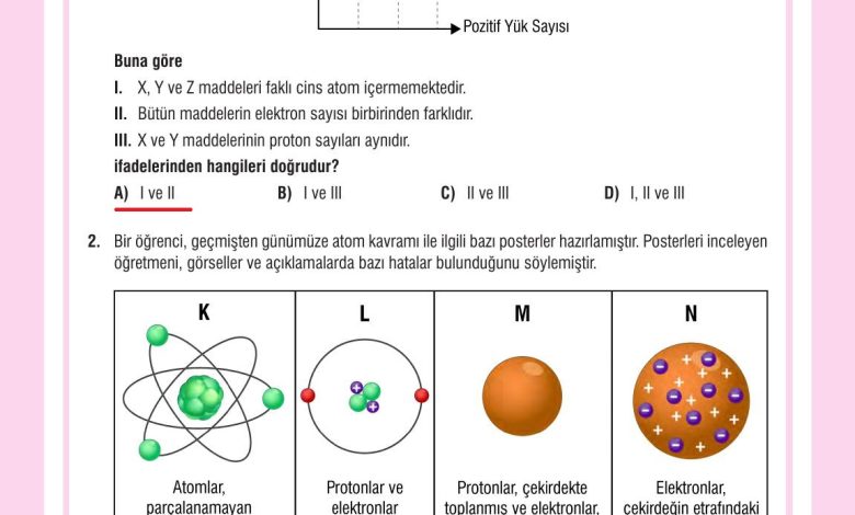 7. Sınıf Meb Yayınları Fen Bilimleri Ders Kitabı Sayfa 141 Cevapları