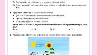 7. Sınıf Meb Yayınları Fen Bilimleri Ders Kitabı Sayfa 142 Cevapları