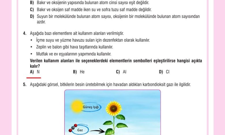 7. Sınıf Meb Yayınları Fen Bilimleri Ders Kitabı Sayfa 142 Cevapları