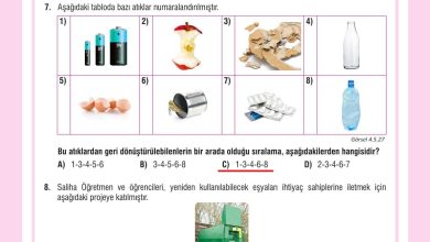 7. Sınıf Meb Yayınları Fen Bilimleri Ders Kitabı Sayfa 143 Cevapları