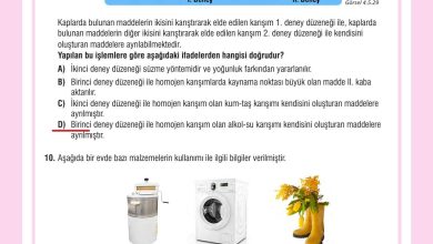 7. Sınıf Meb Yayınları Fen Bilimleri Ders Kitabı Sayfa 144 Cevapları