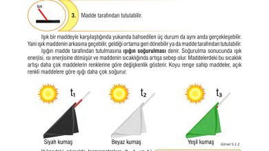 7. Sınıf Meb Yayınları Fen Bilimleri Ders Kitabı Sayfa 147 Cevapları