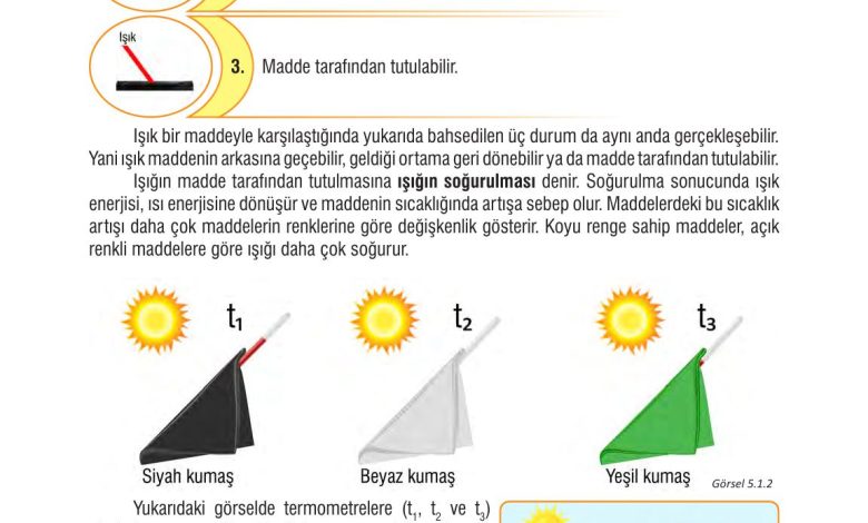 7. Sınıf Meb Yayınları Fen Bilimleri Ders Kitabı Sayfa 147 Cevapları