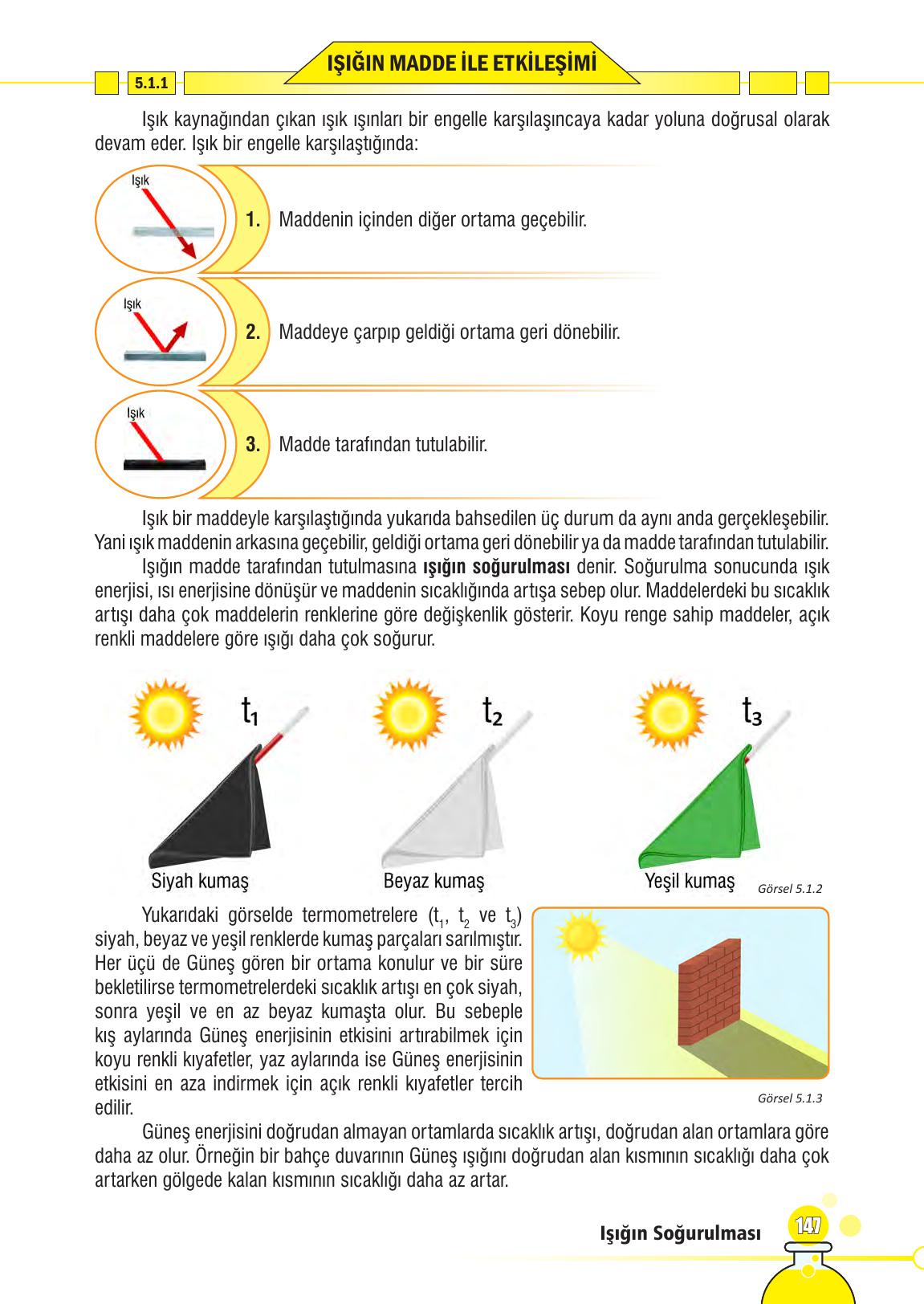 7. Sınıf Meb Yayınları Fen Bilimleri Ders Kitabı Sayfa 147 Cevapları