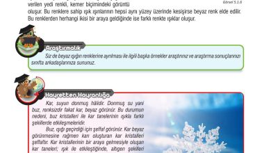 7. Sınıf Meb Yayınları Fen Bilimleri Ders Kitabı Sayfa 149 Cevapları