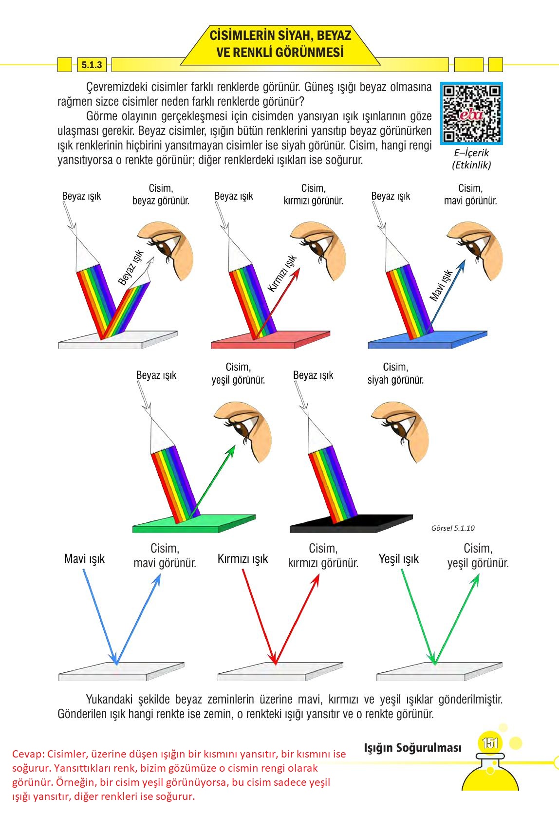 7. Sınıf Meb Yayınları Fen Bilimleri Ders Kitabı Sayfa 151 Cevapları