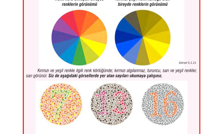 7. Sınıf Meb Yayınları Fen Bilimleri Ders Kitabı Sayfa 152 Cevapları