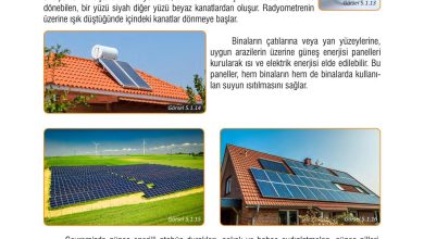 7. Sınıf Meb Yayınları Fen Bilimleri Ders Kitabı Sayfa 153 Cevapları