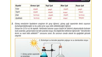 7. Sınıf Meb Yayınları Fen Bilimleri Ders Kitabı Sayfa 155 Cevapları