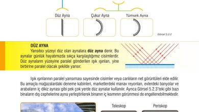 7. Sınıf Meb Yayınları Fen Bilimleri Ders Kitabı Sayfa 157 Cevapları