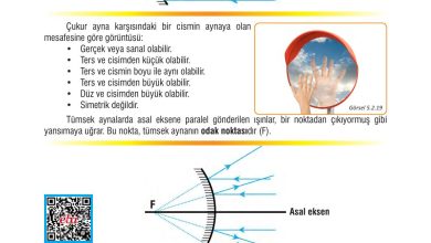 7. Sınıf Meb Yayınları Fen Bilimleri Ders Kitabı Sayfa 160 Cevapları