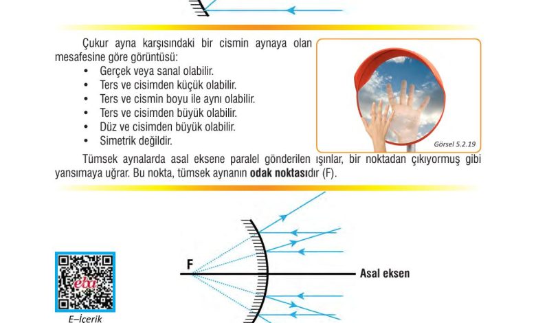 7. Sınıf Meb Yayınları Fen Bilimleri Ders Kitabı Sayfa 160 Cevapları