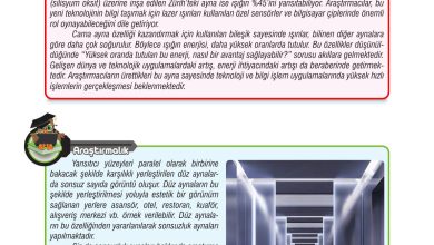 7. Sınıf Meb Yayınları Fen Bilimleri Ders Kitabı Sayfa 162 Cevapları