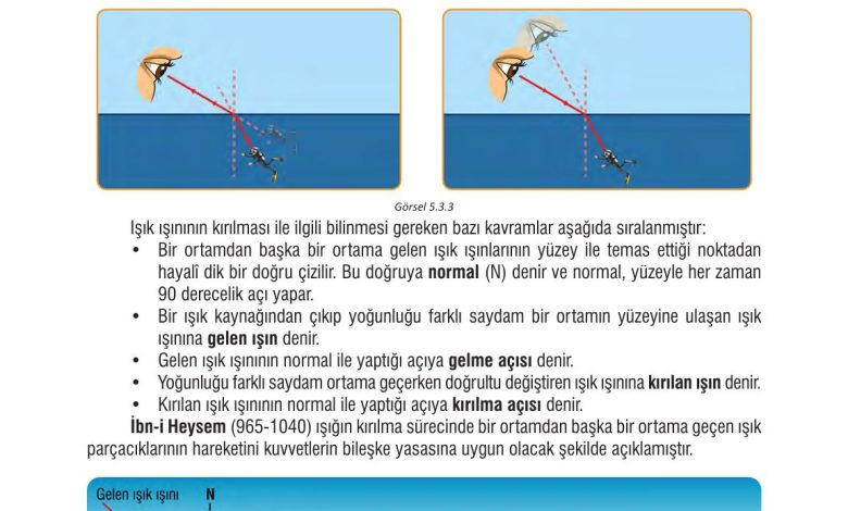 7. Sınıf Meb Yayınları Fen Bilimleri Ders Kitabı Sayfa 165 Cevapları