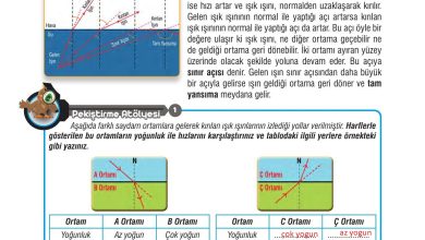 7. Sınıf Meb Yayınları Fen Bilimleri Ders Kitabı Sayfa 166 Cevapları