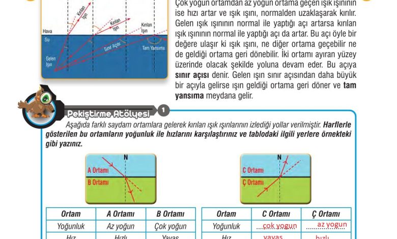 7. Sınıf Meb Yayınları Fen Bilimleri Ders Kitabı Sayfa 166 Cevapları