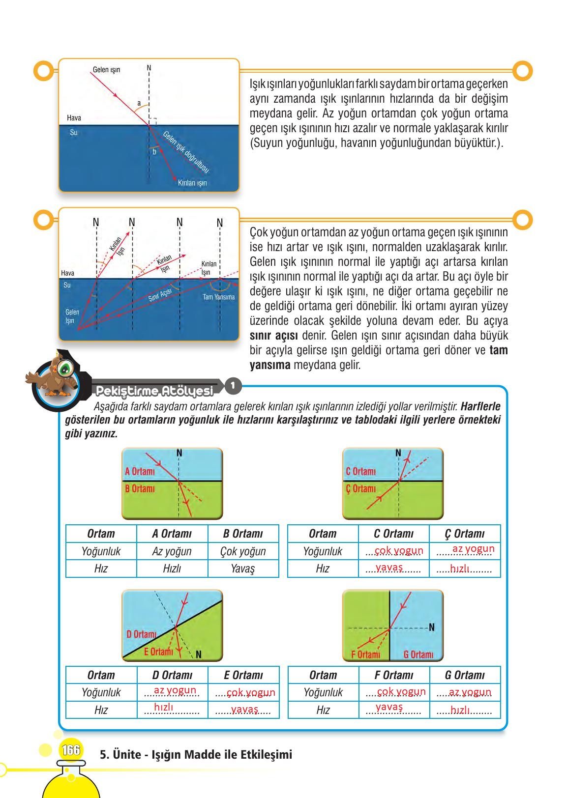 7. Sınıf Meb Yayınları Fen Bilimleri Ders Kitabı Sayfa 166 Cevapları