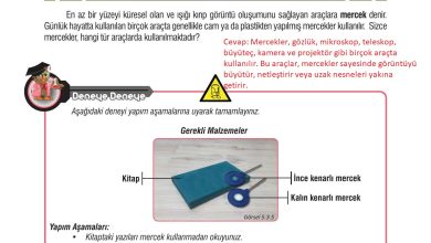 7. Sınıf Meb Yayınları Fen Bilimleri Ders Kitabı Sayfa 167 Cevapları