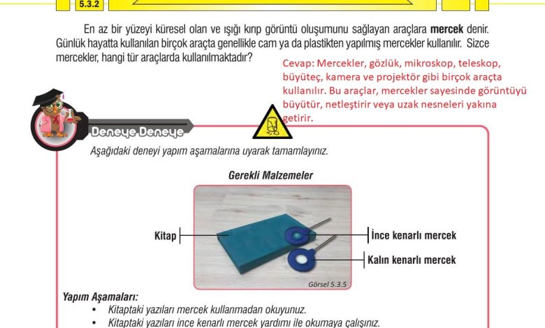 7. Sınıf Meb Yayınları Fen Bilimleri Ders Kitabı Sayfa 167 Cevapları