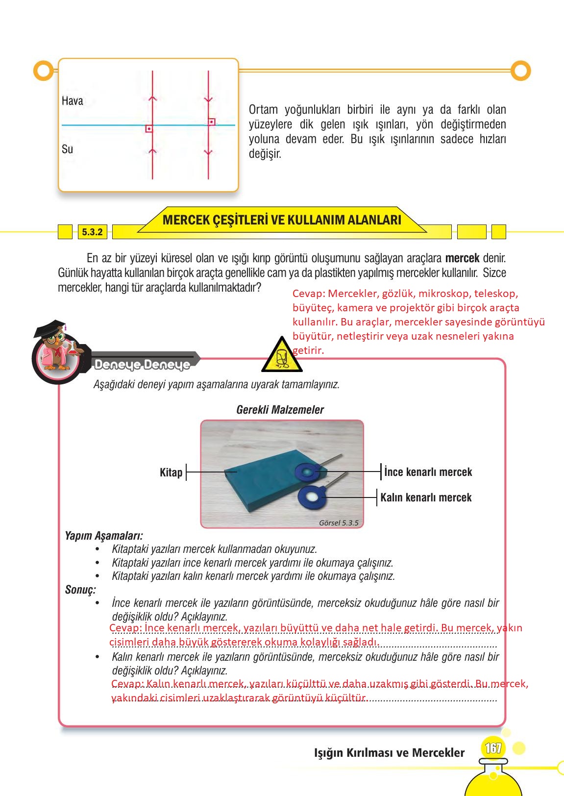 7. Sınıf Meb Yayınları Fen Bilimleri Ders Kitabı Sayfa 167 Cevapları