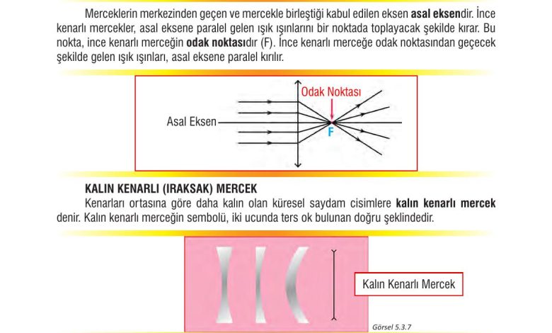 7. Sınıf Meb Yayınları Fen Bilimleri Ders Kitabı Sayfa 168 Cevapları