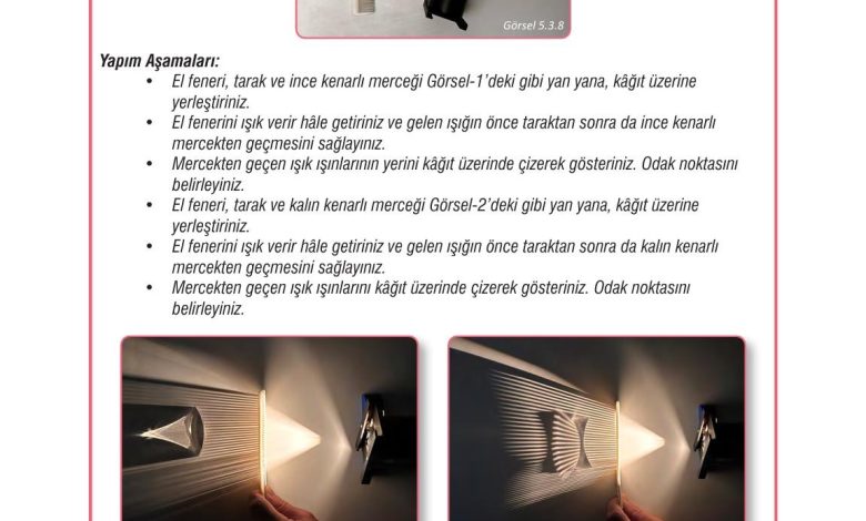 7. Sınıf Meb Yayınları Fen Bilimleri Ders Kitabı Sayfa 169 Cevapları