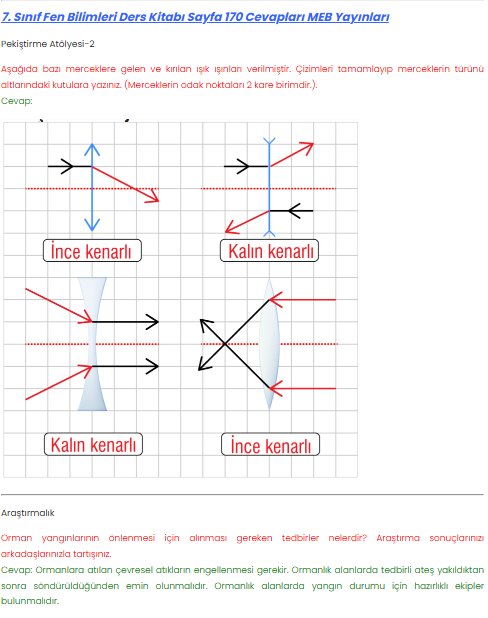 7. Sınıf Meb Yayınları Fen Bilimleri Ders Kitabı Sayfa 170 Cevapları