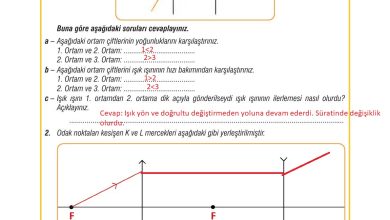 7. Sınıf Meb Yayınları Fen Bilimleri Ders Kitabı Sayfa 173 Cevapları