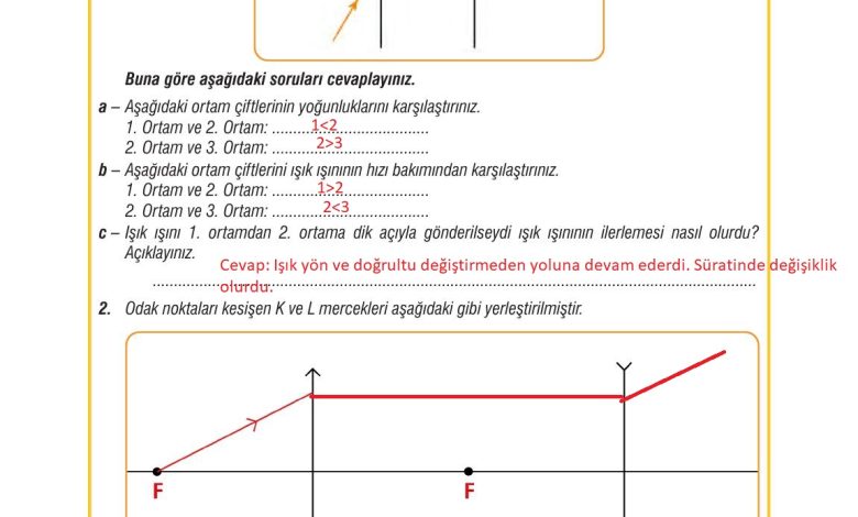 7. Sınıf Meb Yayınları Fen Bilimleri Ders Kitabı Sayfa 173 Cevapları