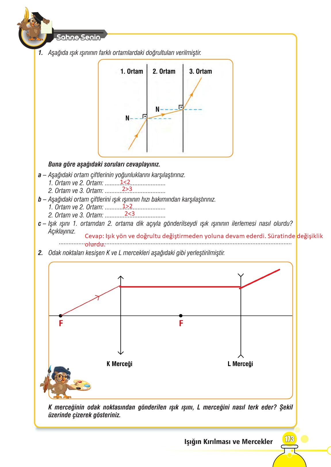 7. Sınıf Meb Yayınları Fen Bilimleri Ders Kitabı Sayfa 173 Cevapları