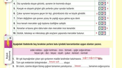 7. Sınıf Meb Yayınları Fen Bilimleri Ders Kitabı Sayfa 175 Cevapları