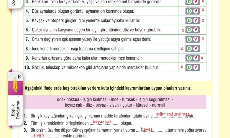 7. Sınıf Meb Yayınları Fen Bilimleri Ders Kitabı Sayfa 175 Cevapları