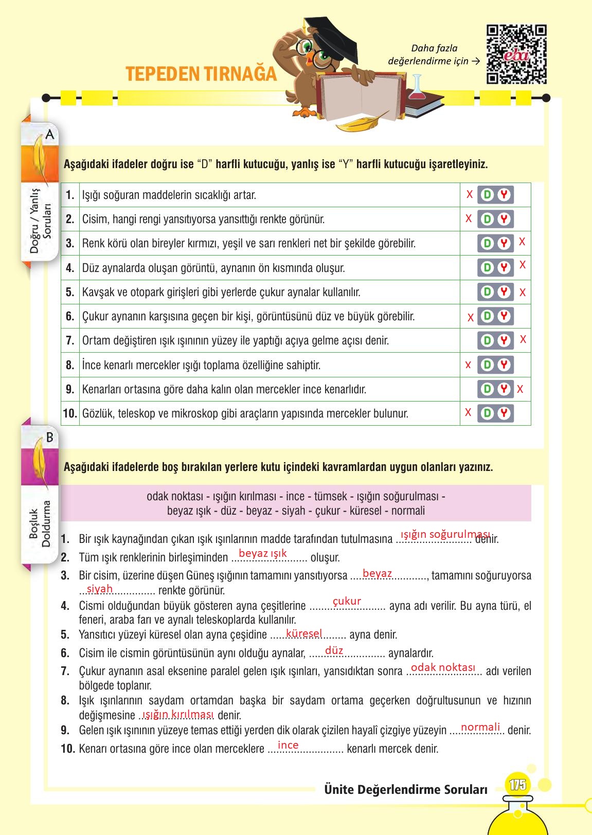 7. Sınıf Meb Yayınları Fen Bilimleri Ders Kitabı Sayfa 175 Cevapları