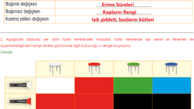 7. Sınıf Meb Yayınları Fen Bilimleri Ders Kitabı Sayfa 176 Cevapları