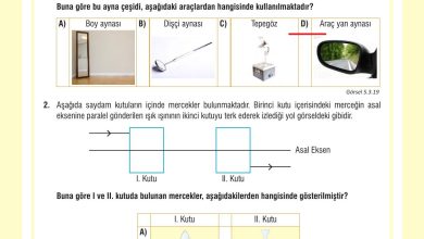 7. Sınıf Meb Yayınları Fen Bilimleri Ders Kitabı Sayfa 177 Cevapları